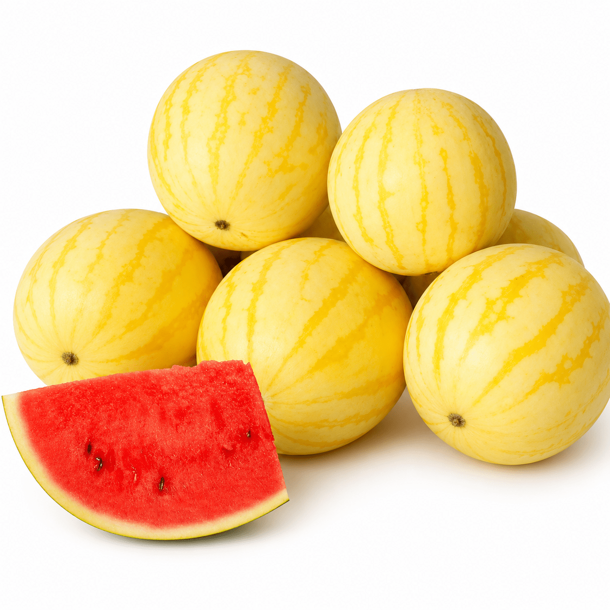 Golden Phoenix Large Watermelon