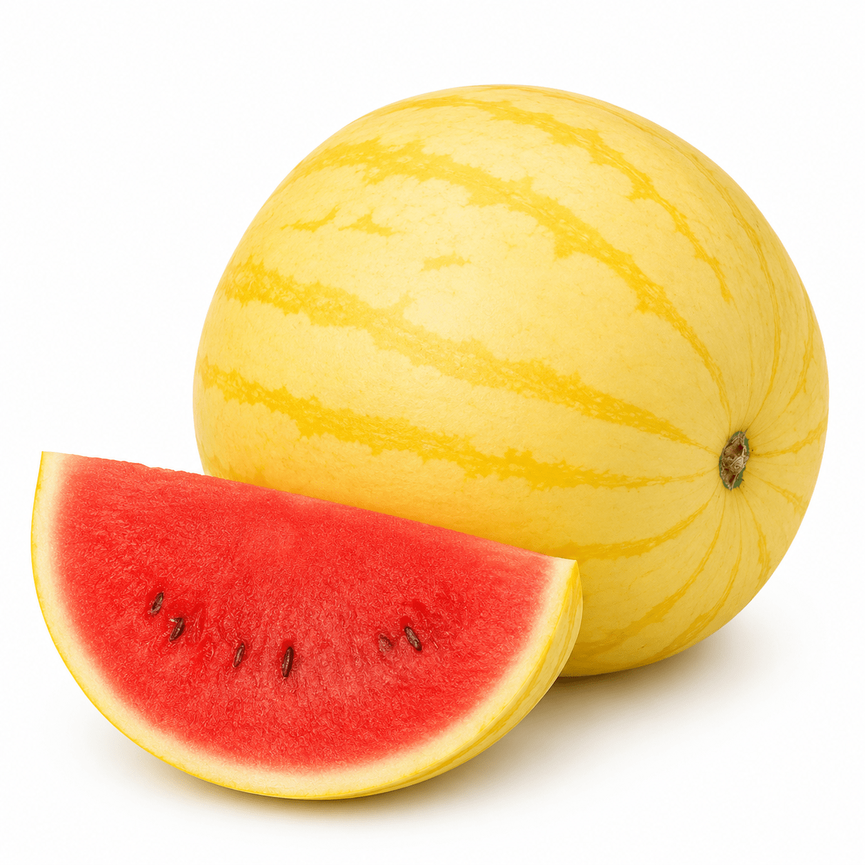 Golden Phoenix Large Watermelon