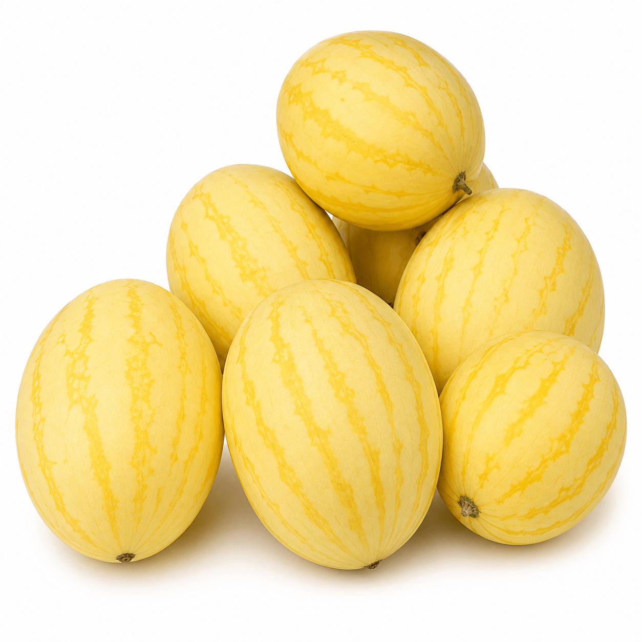 Golden Phoenix Large Watermelon