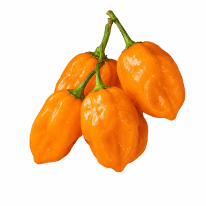 yellow pepper