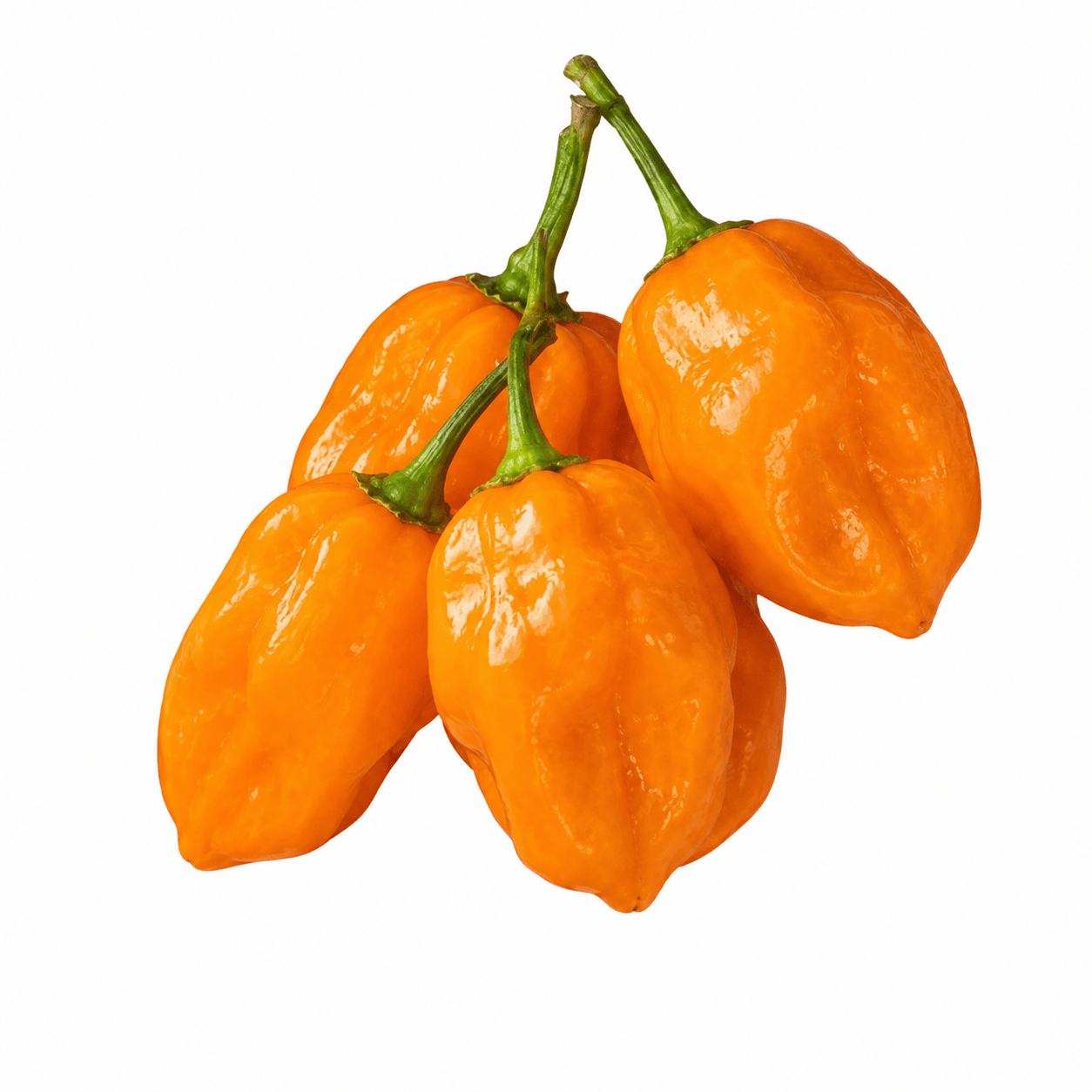 yellow pepper