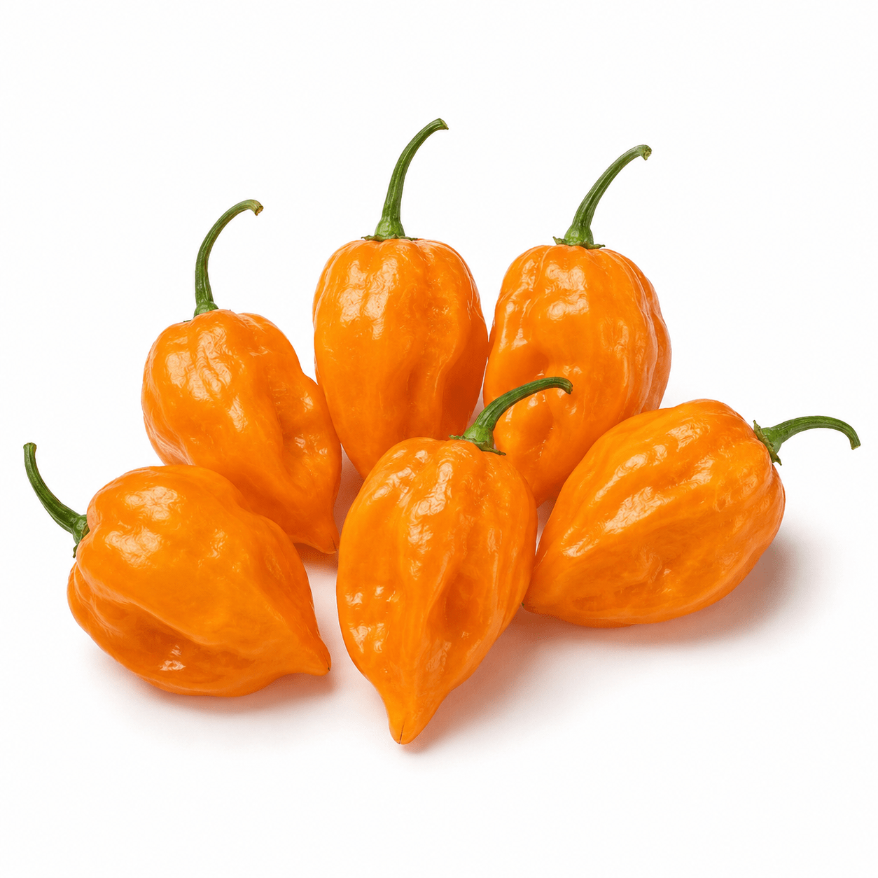 Yellow Ghost Habanero Pepper