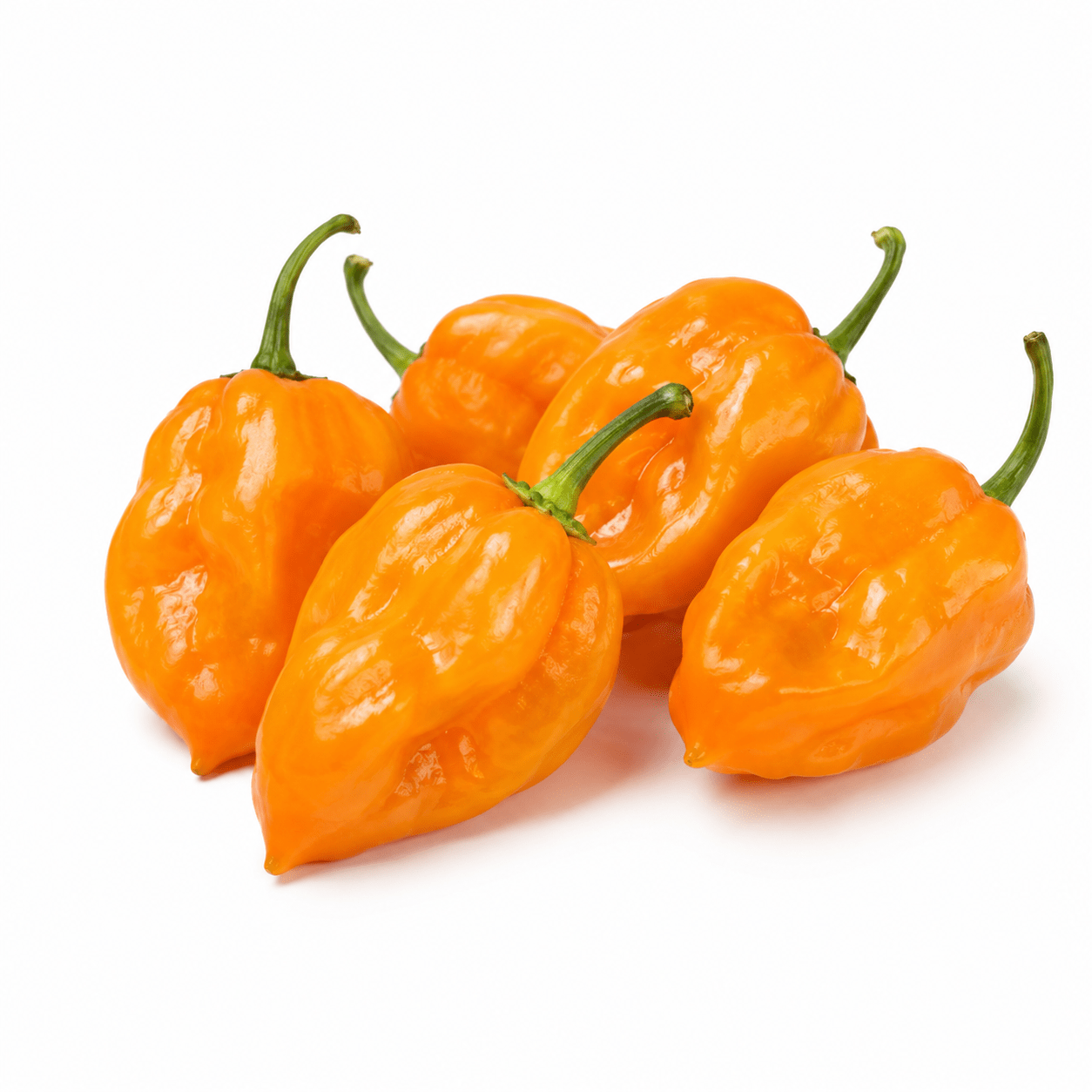 Yellow Ghost Habanero Pepper