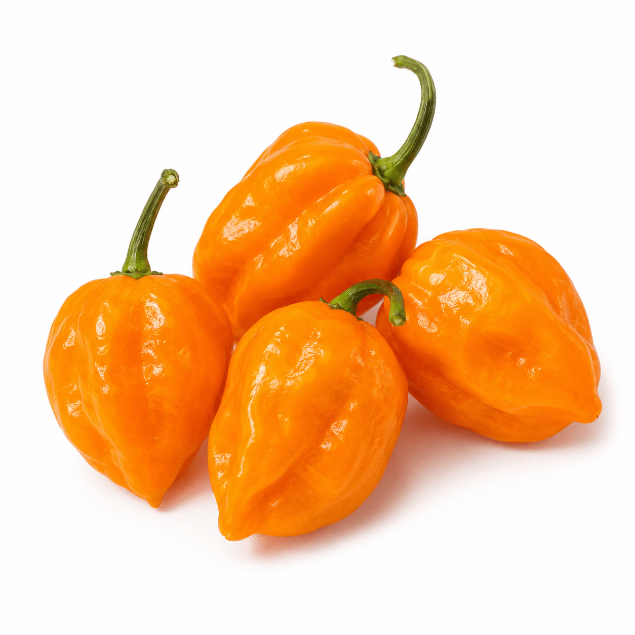 Yellow Ghost Habanero Pepper