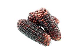 Black Waxy Corn
