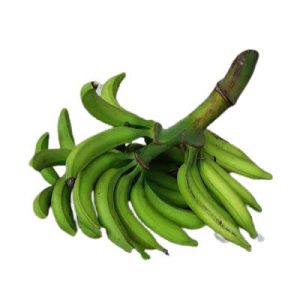 plantain bunch