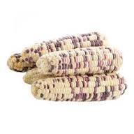waxycorn