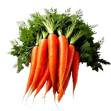 carrots