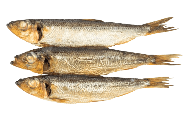 smokedfish