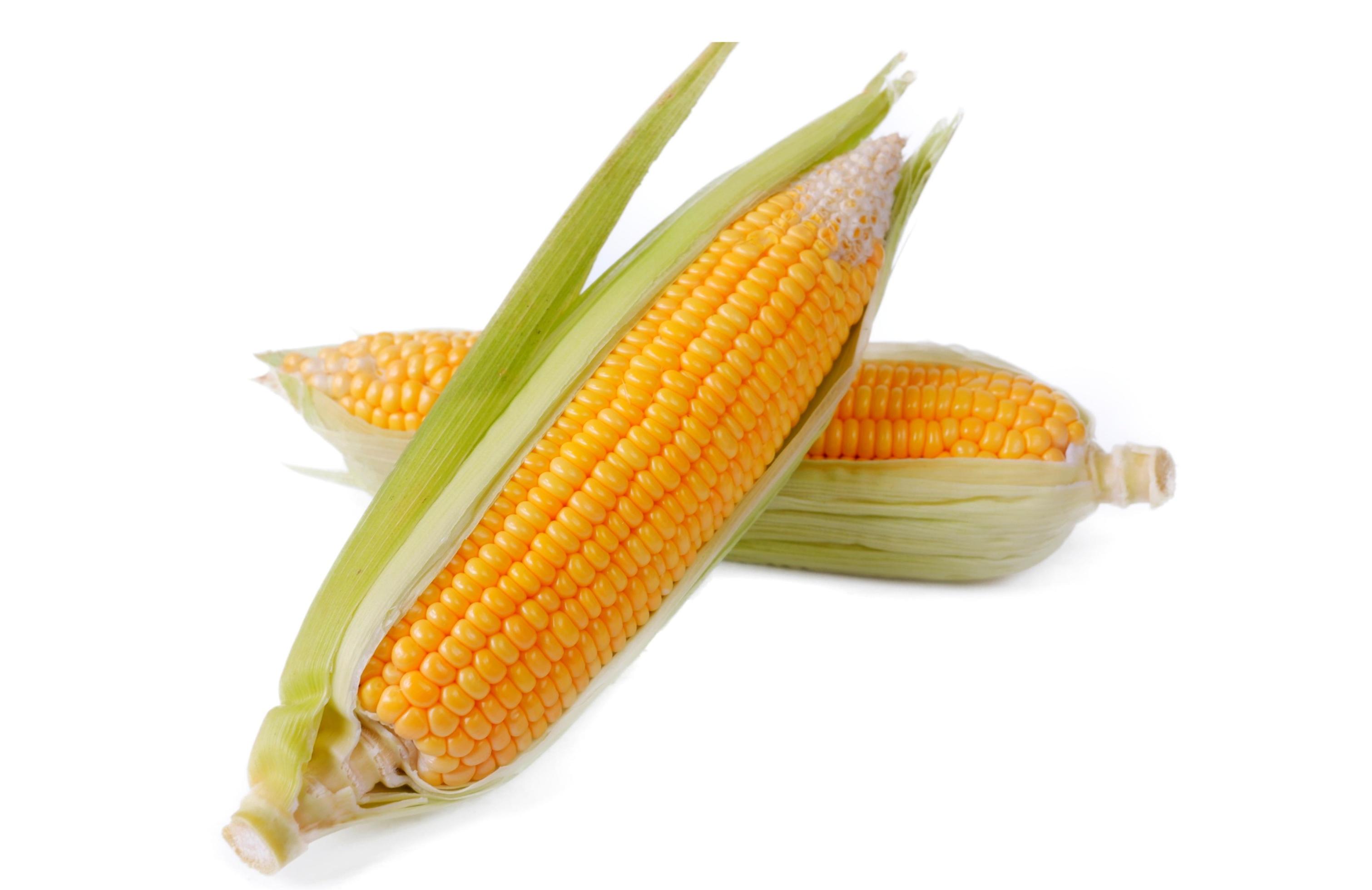 Original Thumb Sweet Corn