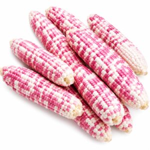 Ruby Pearl Sweet Corn (Kg)