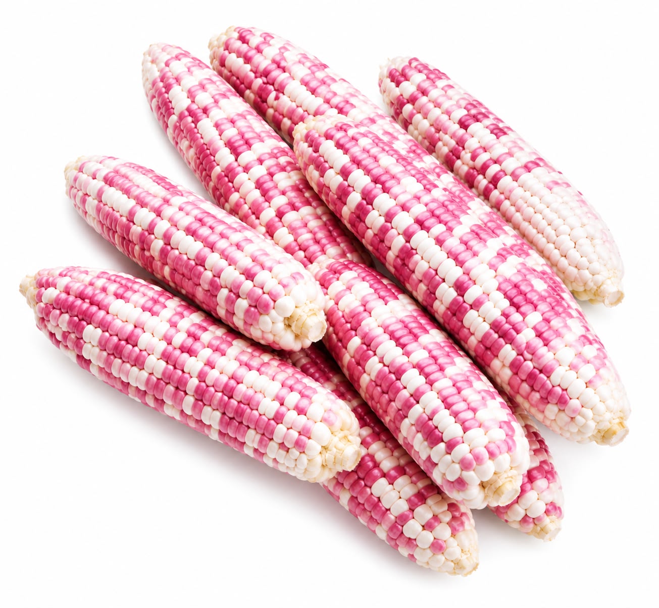 Ruby Pearl Sweet Corn (Kg)