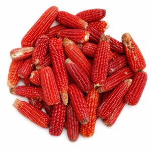 Sweet Ruby Red Corn