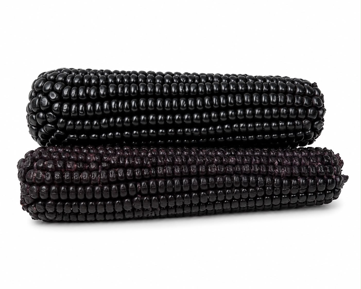 Sweet black Waxy Corn