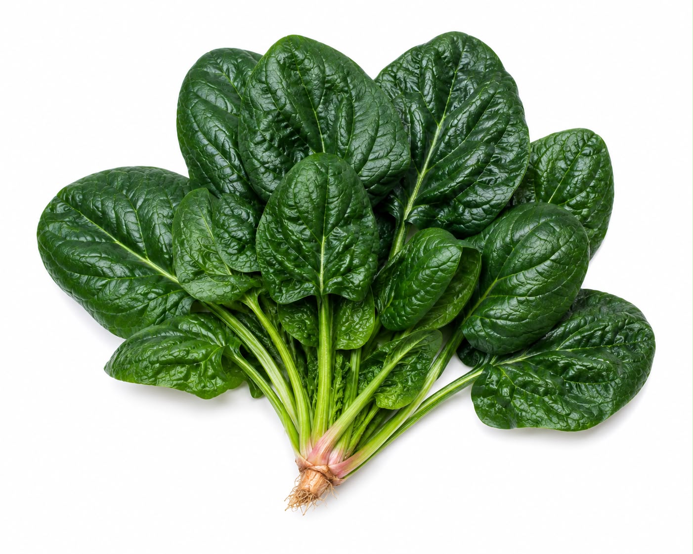 Chinese dark Spinach