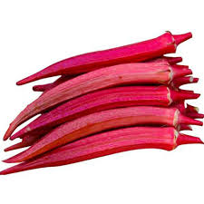 Sugarhill Tender Okro (Red)