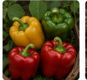 Peppers