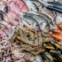 Fish&Seafood