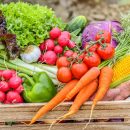 fresh-harvest